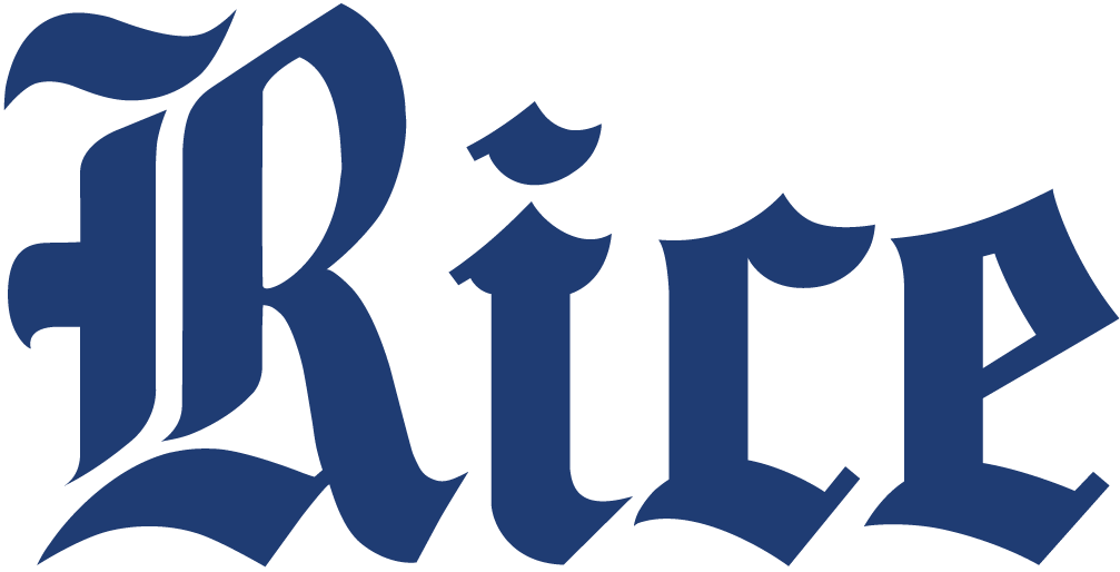 Rice Owls 2010-2016 Wordmark Logo diy iron on heat transfer
